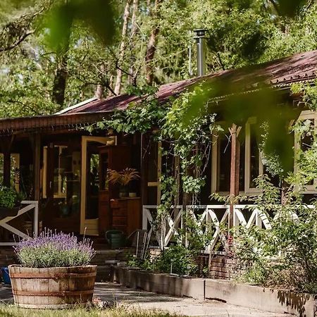 Forest Cottage With Lovely Garden & Sauna Doornspijk Ngoại thất bức ảnh