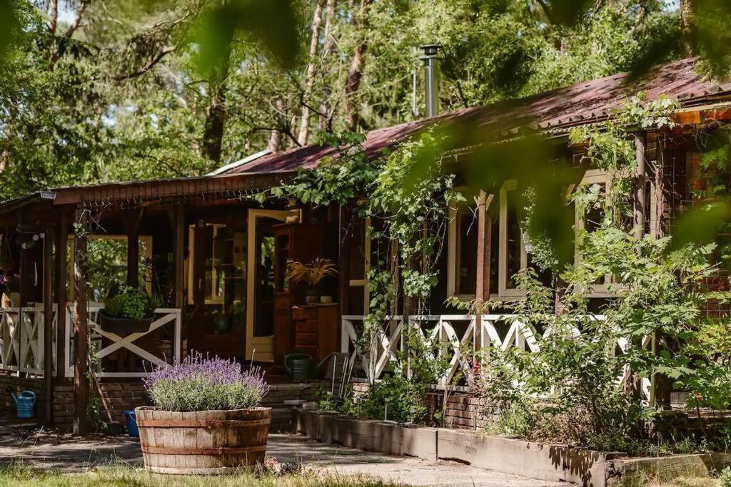 Forest Cottage With Lovely Garden & Sauna Doornspijk Ngoại thất bức ảnh