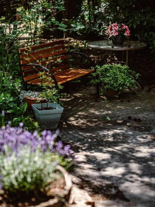 Forest Cottage With Lovely Garden & Sauna Doornspijk Ngoại thất bức ảnh
