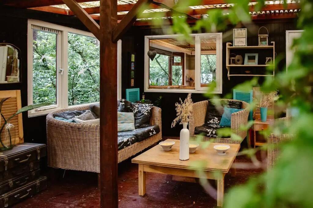 Forest Cottage With Lovely Garden & Sauna Doornspijk Ngoại thất bức ảnh