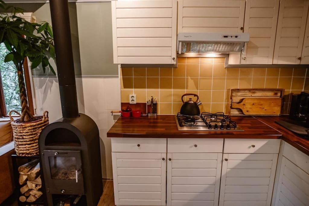 Forest Cottage With Lovely Garden & Sauna Doornspijk Ngoại thất bức ảnh