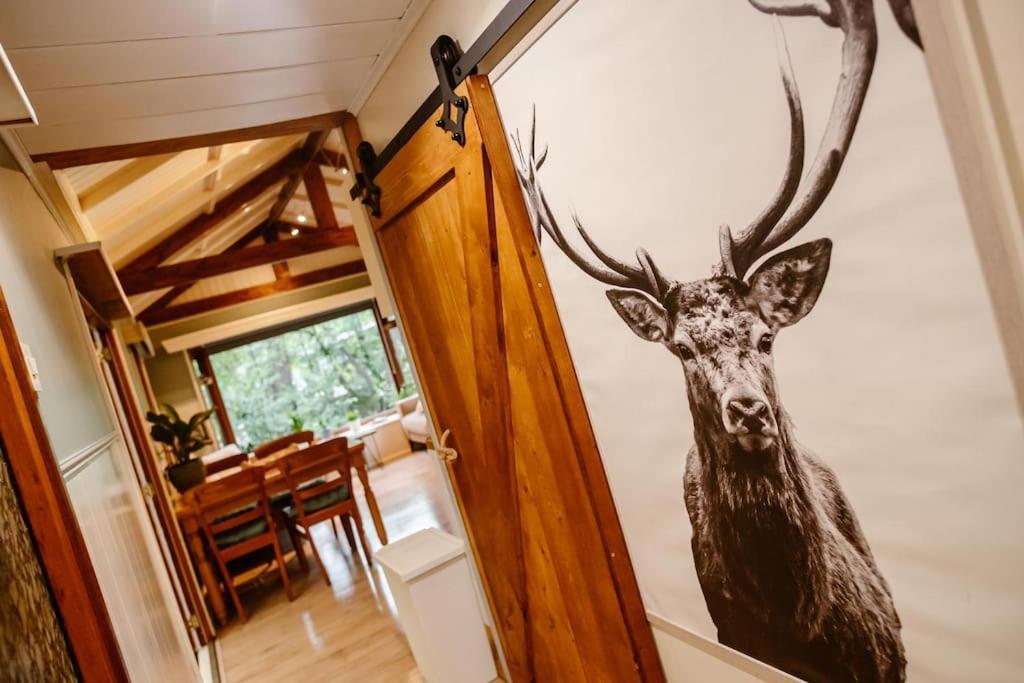 Forest Cottage With Lovely Garden & Sauna Doornspijk Ngoại thất bức ảnh