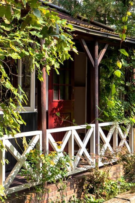 Forest Cottage With Lovely Garden & Sauna Doornspijk Ngoại thất bức ảnh