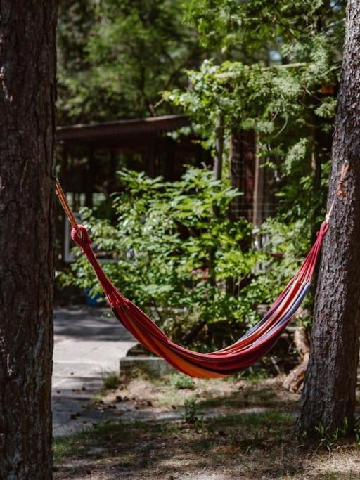 Forest Cottage With Lovely Garden & Sauna Doornspijk Ngoại thất bức ảnh